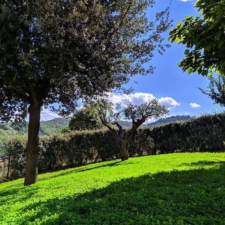 La Casa Di Simona リパトランソーネ